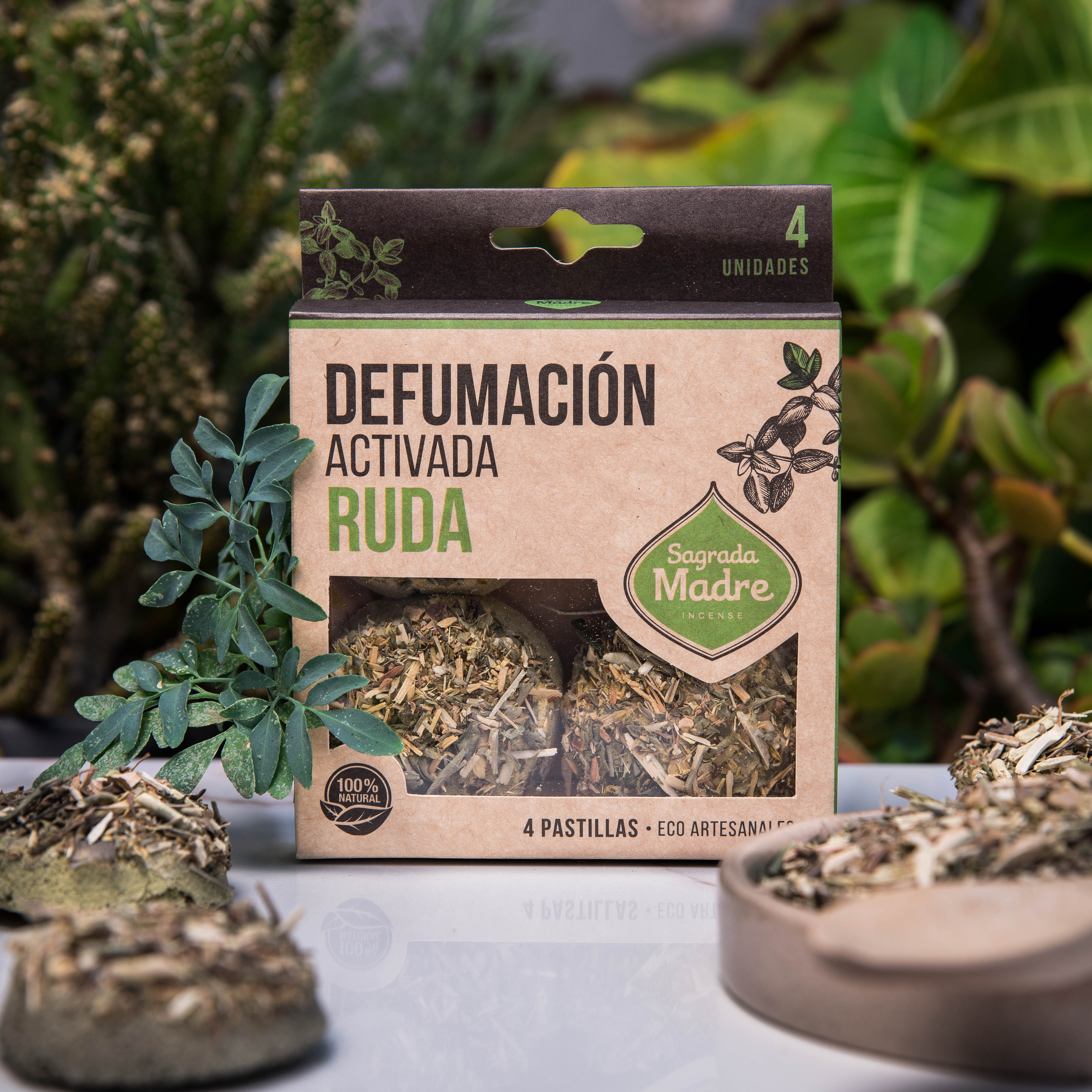 Ruda para la limpieza del hogar: estos son los usos de esta planta para  revitalizar la energía de cada espacio