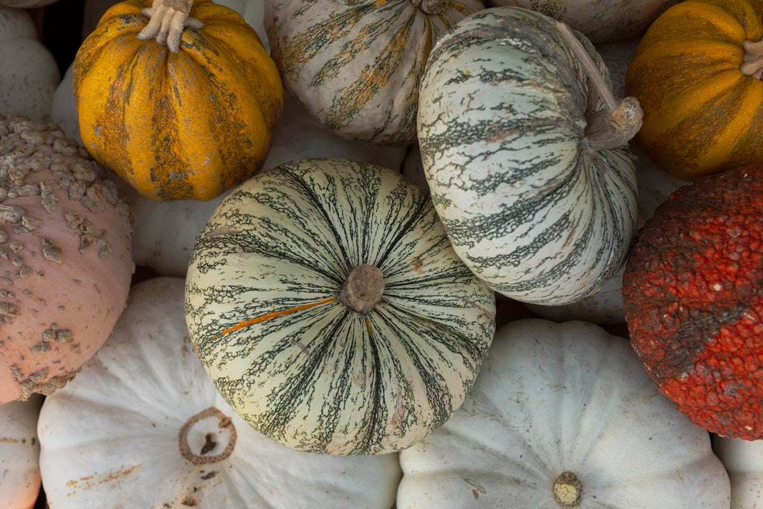 Minerales y Rituales para la Noche de Samhain