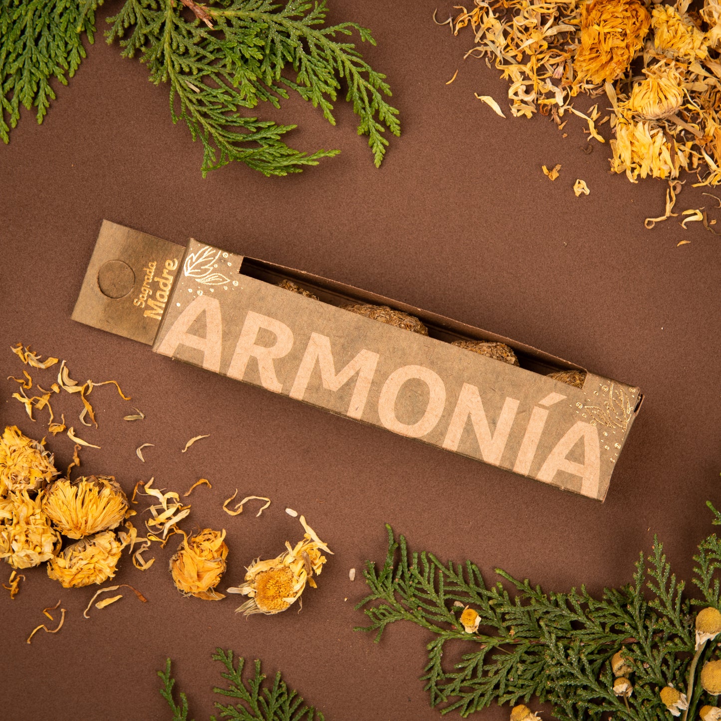 Bombita Herbal · Armonía · Sagrada Madre